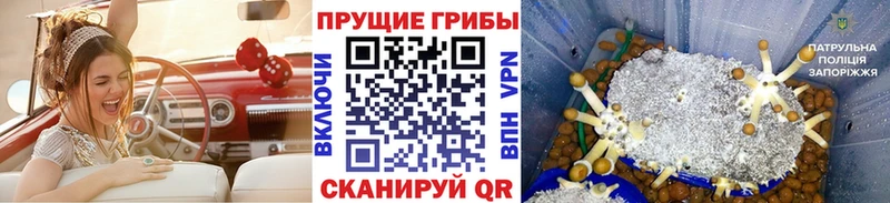 Псилоцибиновые грибы мухоморы Чёрмоз